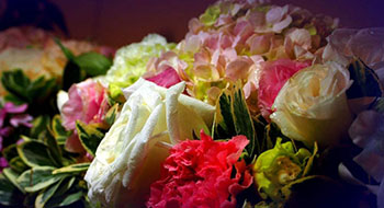 精彩回顧 | 尚為科技2017全國環(huán)境監(jiān)控解決方案巡展